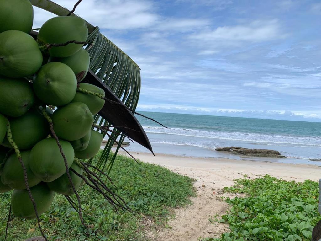 Casa No Paraiso Dos Carneiros Em Tamandaré Zewnętrze zdjęcie